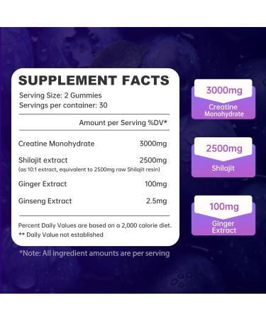 Creatine Gummies 3000mg with Shilajit | Juice-Burst Filled for Muscle Recovery Strength & Energy Booster | Natural Testosterone & Cognitive Support for Men & Women | 60 Count Blueberry Flavor - Buy Online on GoSupps.com