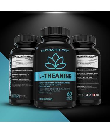 L-Theanine 250MG Capsules - For Stress Management & Relaxation - Promotes Focus Alertness & Clarity - L Theanine Supplement for Stress Relief - 250 mg per capsule - 60 Capsules 60 count (Pack of 1) - Buy Online on GoSupps.com