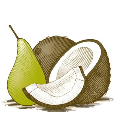 Buy Burt's Bees Coconut & Pear Lip Balm - Nourishing 0.15 oz (4.25g) | International Shipping Available - Buy Online on GoSupps.com