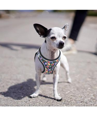 Heele No-Pull Dog Harness for Small Dogs | Breathable Adjustable Safety Harness with Reflective Design - Flower Black - Buy Online on GoSupps.com