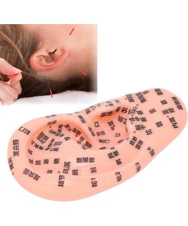13 cm Ear Acupuncture Model | Ear Zone Pressure Point Learning Tool | International Shipping Available - Buy Online on GoSupps.com