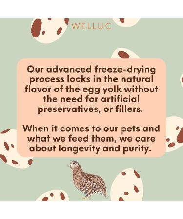 Freeze Dried Quail Egg Yolk for Cats & Dogs | Single Ingredient Raw Pet Treats | Pasture Raised - High Protein Healthy Food Topper Training Treats for Shiny Coat | 150g (5.3 oz) Resealable Jar - Buy Online on GoSupps.com