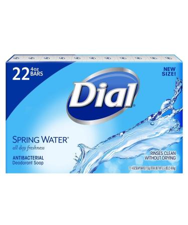 Dial Antibacterial Bar Soap Spring Water 30 Count