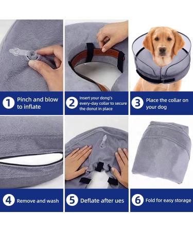 2-in-1 Inflatable Dog Collar | Recovery & Protective Collar for Dogs - Small Size - Buy Online on GoSupps.com