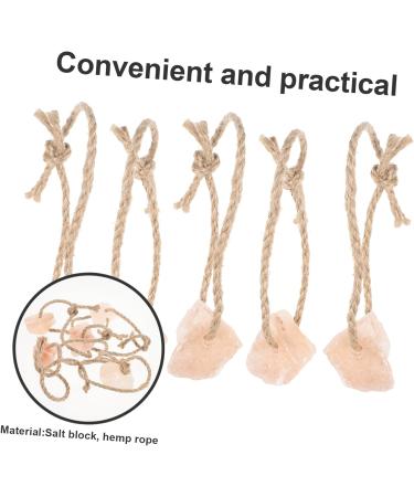 Levemolo 5pcs Animals Salt Cattle Salt Lick Salt for Animals Licking Salt Brick Pet Rope - Buy Online on GoSupps.com