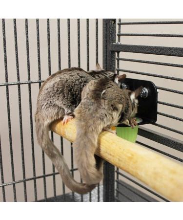 Nectar Pods: Calcium-Fortified Jelly Fruit Treat for Sugar Gliders, Marmosets, Parrots, and More - Variety 4 Pack - Buy Online on GoSupps.com