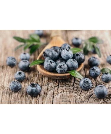 Jeske Sports Supplies Tasty Pott Organic aronia berries dried fruits dark berries fruit snack rich in vitamins smoothie muesli in bag 1000 g - Buy Online on GoSupps.com