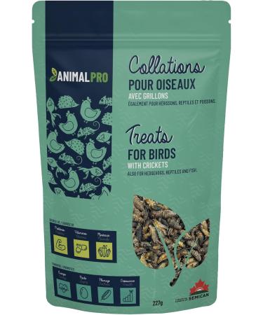 AnimalPro Crickets for birds 227 g - 0 5 LB - Buy Online on GoSupps.com