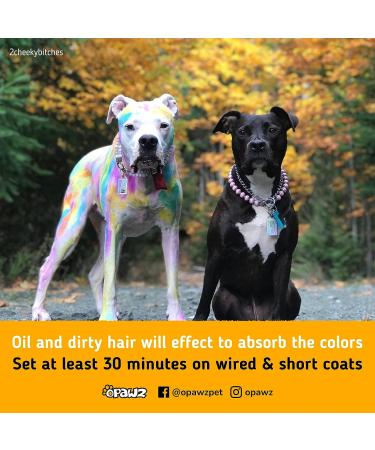 OPAWZ Semi-Permanent Dog Hair Dye - Food-Grade Pigment, Non-Toxic Pet Hair Dye for Dogs, Cats & All Pets - Dahlia Purple - Buy Online on GoSupps.com