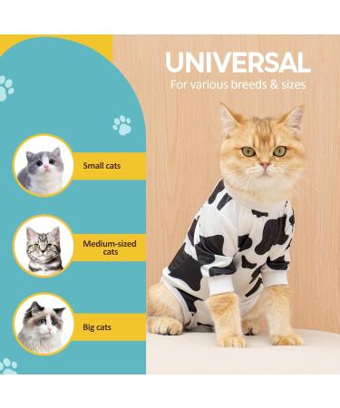 Avont Katzenbody: Optimal Recovery Suit for Cats | Post-Op Castration Spay & Wound Protection - Buy Online on GoSupps.com