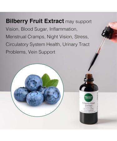 Greenbush Bilberry 4 oz Liquid Extract - Vision & Circulatory Support Supplement- 3.98 Fl Oz - Buy Online on GoSupps.com