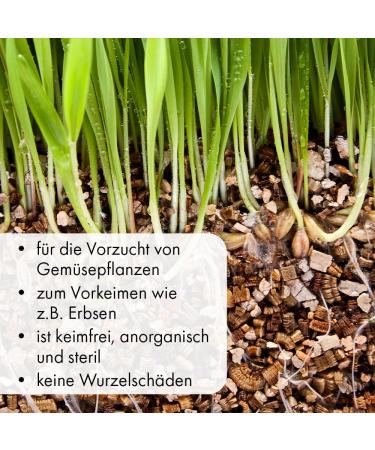 Buy Terra Exotica Vermiculite 100 Liters (Coarse 0-6 mm) for Optimal Plant Growth - International Shipping Available - Buy Online on GoSupps.com