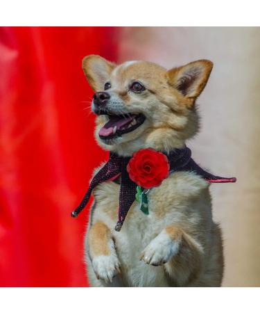 LUTER 4pcs Pet Collar Flowers Multicolored Dog Flower Tie&Bow Floral Collar Charms Accessories Detachable Flower Embellishment for Cats Dogs Pets Supplies (8cm/3.14inch) - Buy Online on GoSupps.com