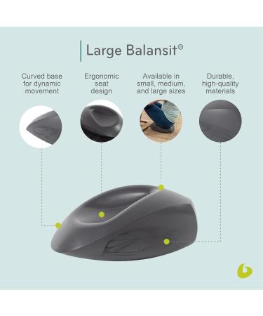 Balanced Body Balansit - Premium Balancing Seat Cushion for Pilates & Core Strength | Ideal for Home & Studio Use | Supports 75+ kg - Buy Online on GoSupps.com
