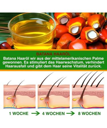 PBeauty 2x Organic Batana Oil Vegan for Hair Face & Nails Cold Pressed 60ml For Hair Growth & Skin Care Oil against Hair Loss & Split Ends Hair Growth Hair Care 2 x 60ml - Buy Online on GoSupps.com