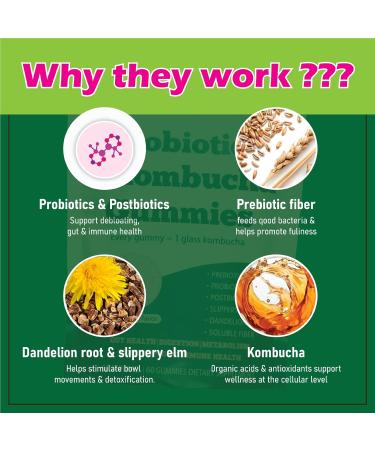 FORTIRISE Probiotic Kombucha Gummy - Prebiotics + Probiotics + Postbiotics | Contains MCT Oil elm bark Dandelion Root and Fiber | Promotes Gut Health | 60 Capsules - Buy Online on GoSupps.com