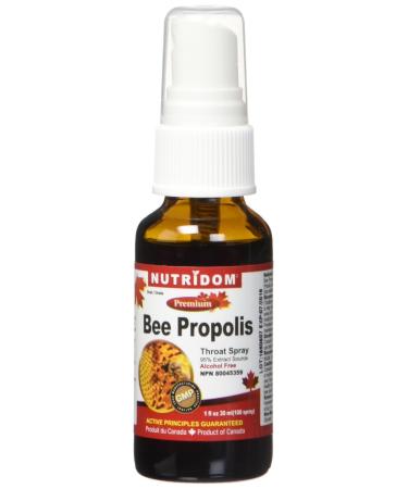 Nutridom Bee Propolis Premium Throat Spray 30 Milliliter 1