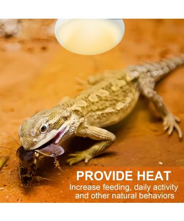 REPTI HOME Reptile Heat Lamp Bulbs 2 Pack 100W Heat Lamp for Reptiles E27 Basking Light Bulb for Vivarium Turtle Lizard Tortoise Bearded Dragon Puppy Chick - Buy Online on GoSupps.com