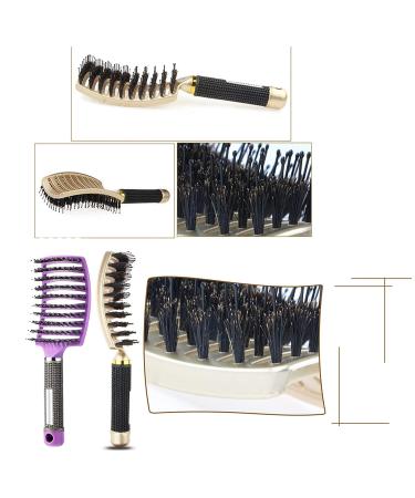 Hairstreaq Detangling Brush - Boar Bristles - Curved Vented Design - Wet & Dry Hair - Gold Purple | For Women Men Kids - Buy Online on GoSupps.com