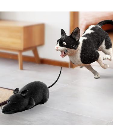 Aerbee Remote Control Rat Toy Electronic RC Mouse Toy Emulation Flocking Rat Toy Interactive Cat Toys Pet Toys Funny Wireless Chasing Prank Joke Scary Trick Rats Animal for Pets Novelty Gift - Buy Online on GoSupps.com