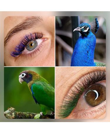 EMEDA Colored Lash Extensions D Curl .07 - 6 Colorful Lashes 15mm - Individual Eyelash Extensions - Buy Online on GoSupps.com