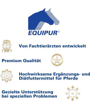 EQUIPUR - strong zinc 1 g - Buy Online on GoSupps.com