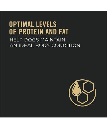 Purina Pro Plan High Protein Adult Dog Food with Probiotics - Chicken & Rice Blend - Buy Online on GoSupps.com