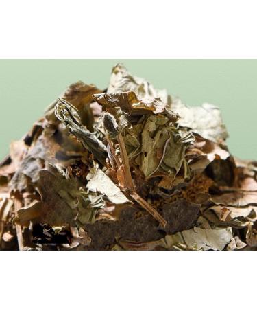 cn herb 40g Houttuynia Cordata Tea A Cup Every Day Not Afraid of The Hot Summer Days - Buy Online on GoSupps.com