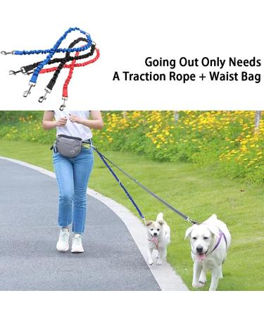 JVHLOV Double Dog Leash - 360 Rotatable for 2 Dogs | Ideal for Small Medium & Large Dogs - Blue - Buy Online on GoSupps.com