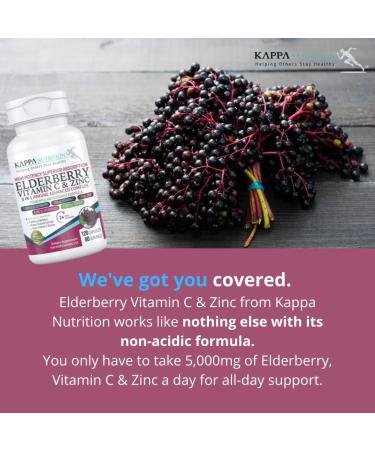 KAPPA NUTRITION Sambucus Elderberry Capsules with Vitamin C, Zinc, Vitamin D3 & Ginger - Immune Support Supplement - 2 Month Supply - Buy Online on GoSupps.com