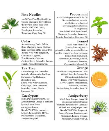 Aromatherapy Tea Tree Essential Oil Set for Diffuser 100% Pure Cedar Essential Oils Set for Air Freshener 8x10ml 100% Pure Pine Needles Eucalyptus Peppermint Juniper Berry Orange Fennel Oils Set - Buy Online on GoSupps.com
