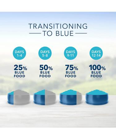 Buy Blue Buffalo Life Protection Formula Natural Adult Dry Dog Food - Premium Nutrition for Your Dog - Buy Online on GoSupps.com
