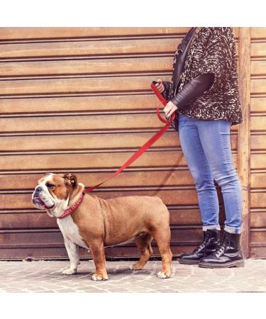 Personalized Reflective Dog Collar & Leash Set for Large Dogs - Tagme 1.5m Double-Sided Leash Red - Perfect for Safe Walks - Buy Online on GoSupps.com