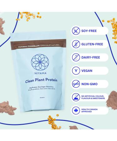Niyama Clean Plant Protein Powder | Delicious and Smooth Vegan Protein Powder from Organic Peas | Paleo Keto Soy-free Gluten-free No Stevia Zero Sugar | Chocolate Protein Powder (14 servings) (( Pack of 1 ) 424 g Chocolate) Chocolate ( Pack of 1 ) 424 g - Buy Online on GoSupps.com