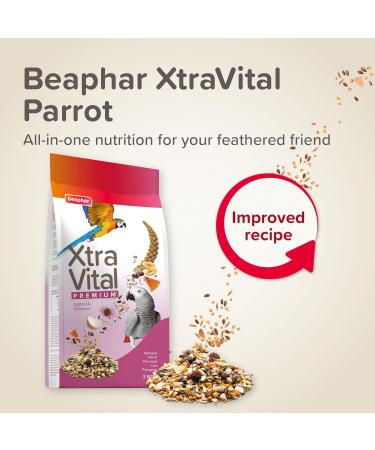 BEAPHAR XTRAVITAL Premium Food for Parrots Contains Fruits Seeds and Egg Pate Strengthens the System - Buy Online on GoSupps.com