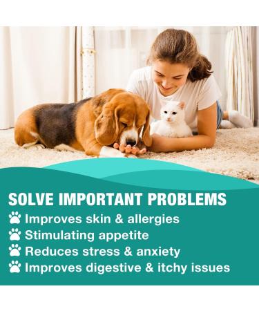 RiRywony Health Hemp Oil for Dogs Cats - Pure Hemp Drops for Pets Arthritis Pain Anxiety Relief Stress - Dog Herbal Supplements -Hip Joint Support Calming - Skin Health - Omega 3-6-9 Fatty Acids - Buy Online on GoSupps.com