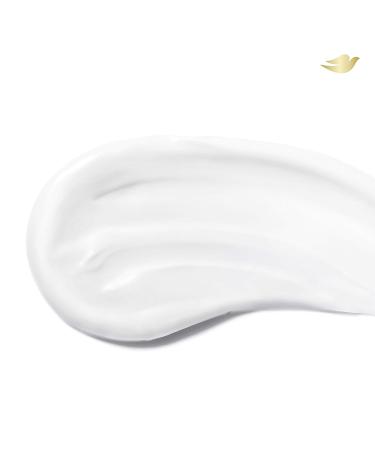 Dove Invisible Solid Antiperspirant Deodorant Stick for Women - Fresh - 2.6 oz - Buy Online on GoSupps.com