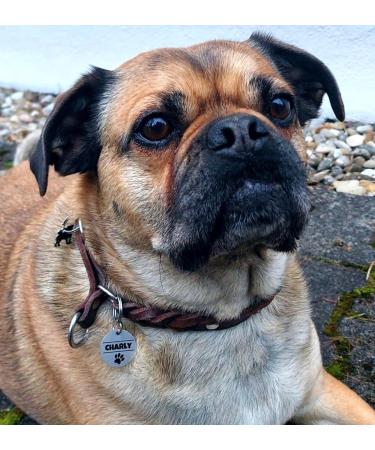 Personalized Stainless Steel Dog Tag - Engraved Collar ID | 25mm & 30mm | Custom Name Motif & Text for Pets - Buy Online on GoSupps.com