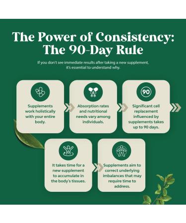 Natures Craft Cleansing Herbal Liver Detox Gummies Liver Support Milk Thistle Gummies with Artichoke Extract Turmeric Curcumin and L-Carnitine - Vegan and Non-GMO - Sweet Lemon (45 Servings) 90 Count (Pack of 1) - Buy Online on GoSupps.com