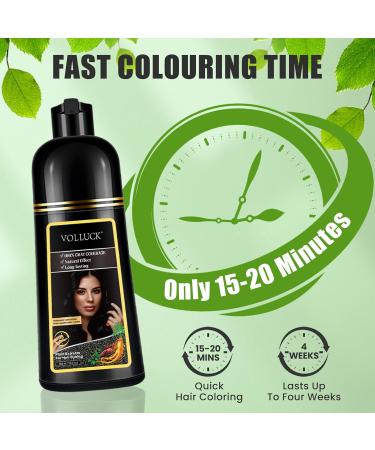 3-In-1 Hair Coloring Shampoo for Gray Coverage - Light Brown Hair Dye for Men & Women | 16.9 Fl Oz - Shop Now - Buy Online on GoSupps.com