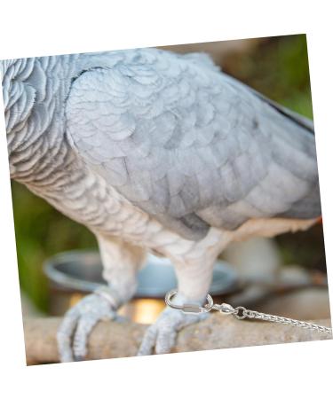 Kisangel Parrot Foot Anklet Cockatiel Leash Bird Foot Ring Bird Leg Ring Coil Chain Pet Harness Chicken Leash 75.00X4.80X4.80CM Silver - Buy Online on GoSupps.com