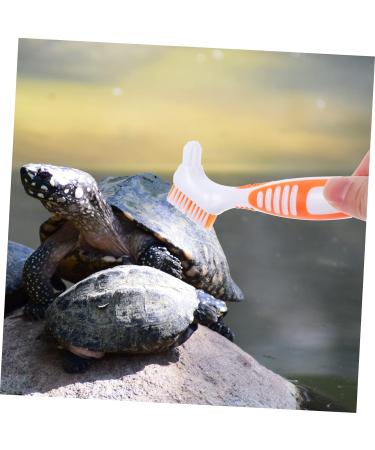 Beaupretty Turtle Shell Cleaning Brush grip cleaning brush turtle cleaning brush aquatic animal cleaning brush hamster cleaning brush toothbrush cleaner tool reptile care plastic water turtle 16x5cm As Shown 2 - Buy Online on GoSupps.com