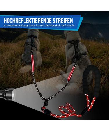 Eyein Double Dog Leash for 2 Small & Medium Dogs Flexible Reflective Tangle-Free with 2 Padded Handles for 3-16kg Dogs (Red) - Buy Online on GoSupps.com