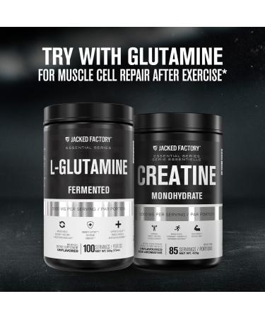 Creatine Monohydrate Powder - Creatine Supplement for Muscle Growth Increased Strength Enhanced Energy Output and Improved Athletic Performance by Jacked Factory - 85 Servings Peach Mango Peach Mango 85 Servings (Pack of 1) - Buy Online on GoSupps.com