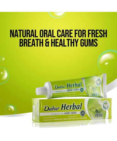 Dabur Ayurvedic Herbal Naturals Aloe Vera Toothpaste 100ml - Best Natural Oral Care for Healthy Teeth & Gums | International Shipping Available - Buy Online on GoSupps.com