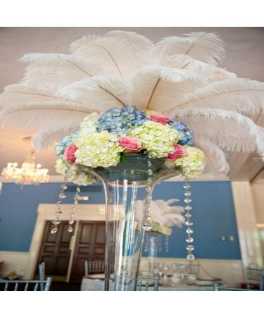 Shekyeon 12-14 inch Ostrich Feathers Pack of 10 - White Wedding Centerpiece Plumes - Buy Online on GoSupps.com