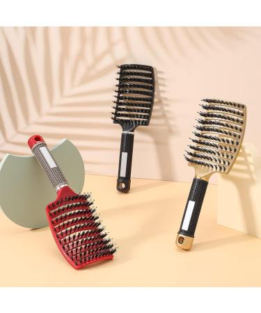 Shop Sports Storm 3 Sticks Hair Brush Set for All Hair Types | Detangle & Style Fine Thick Curly Hair - Buy Online on GoSupps.com