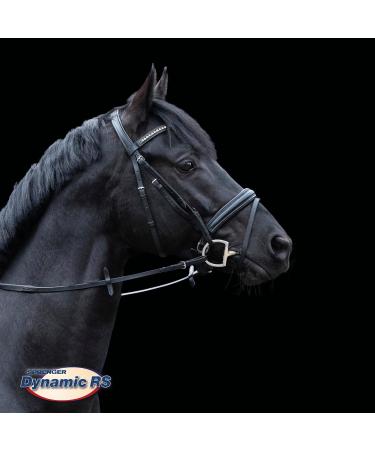 Buy Sprenger DynamicRS 16mm Single-Jointed Olive Head Bit - SENSOGAN Silver for Optimal Equestrian Performance - Buy Online on GoSupps.com