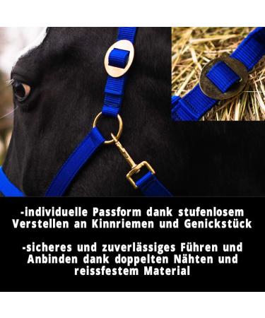 Premium Royal Blue Halter for Warmblood & Thoroughbred Horses Adjustable Safe & Tear-Resistant Perfect for Stable & Pasture Use - Buy Online on GoSupps.com