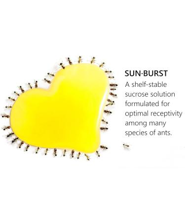 byFormica Sunburst Ant Nectar - Original Formula 500 mL Bottle - Buy Online on GoSupps.com